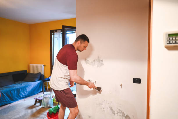 Best Crawl Space Mold Remediation in Othello, WA