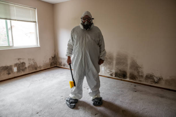 Best Attic Mold Remediation in Othello, WA